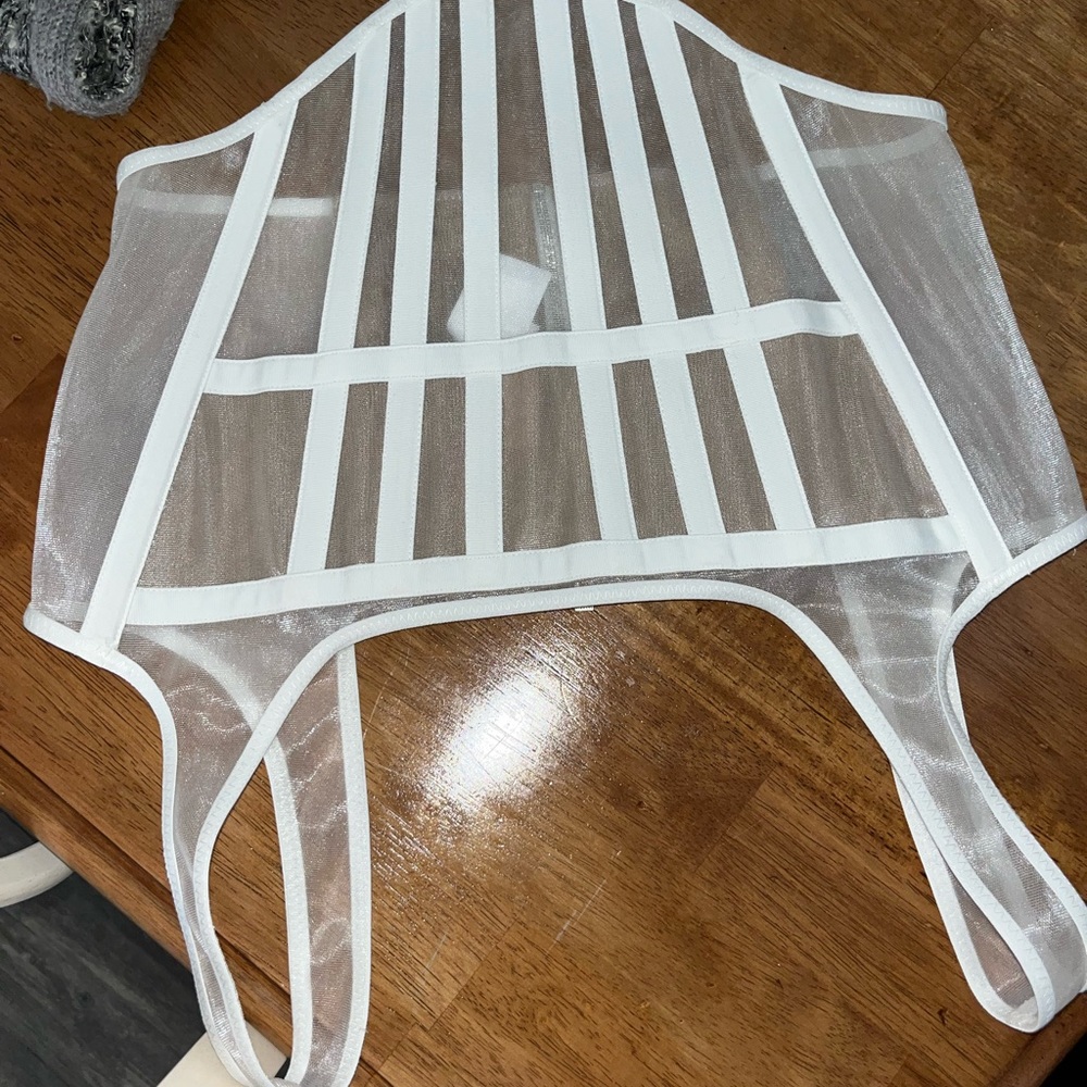 Dion Lee corset